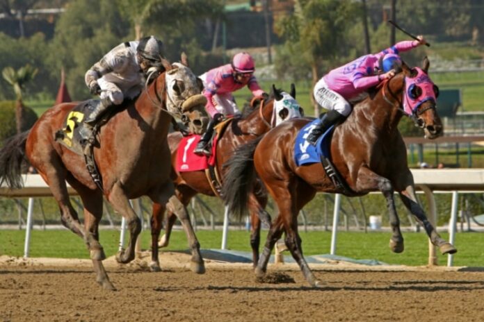 Five Kentucky Derby Horses To Watch In The 150th Edition