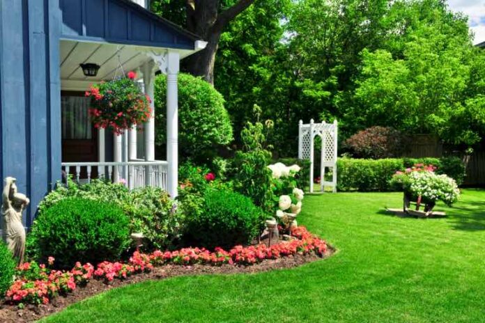 7 tips for elevating your gardens appeal