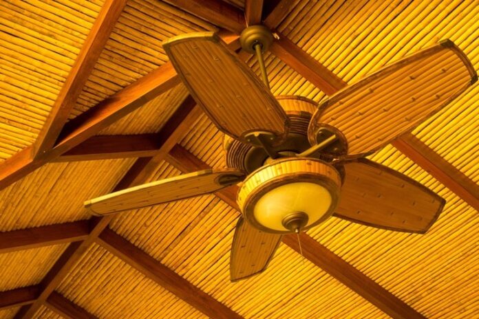 friends will praise the new look of your home with a tropical fan