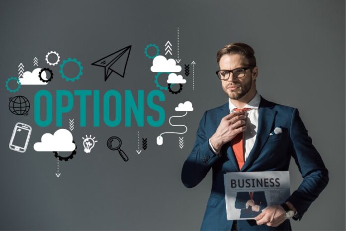 how to calculate the price of call and put options