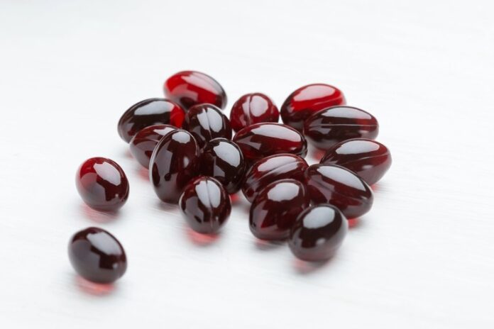 what-makes-a-grass-fed-bison-organ-supplement-so-powerful-for-energy-and-immunity