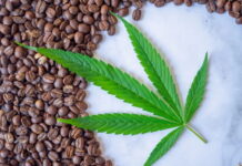 Why CBD Flower Culture is Closer to Specialty Coffee Than Head Shops? why-cbd-flower-culture-is-closer-to-specialty-coffee-than-head-shops