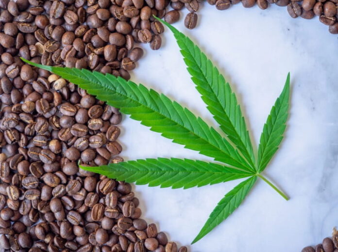 why-cbd-flower-culture-is-closer-to-specialty-coffee-than-head-shops why-cbd-flower-culture-is-closer-to-specialty-coffee-than-head-shops